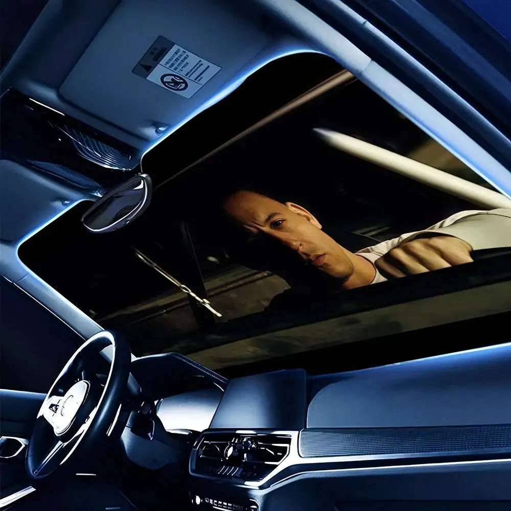 Pare soleil "Toretto"