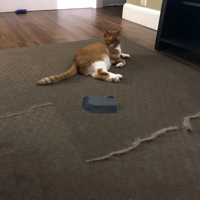 Brosse à poils / cheveux